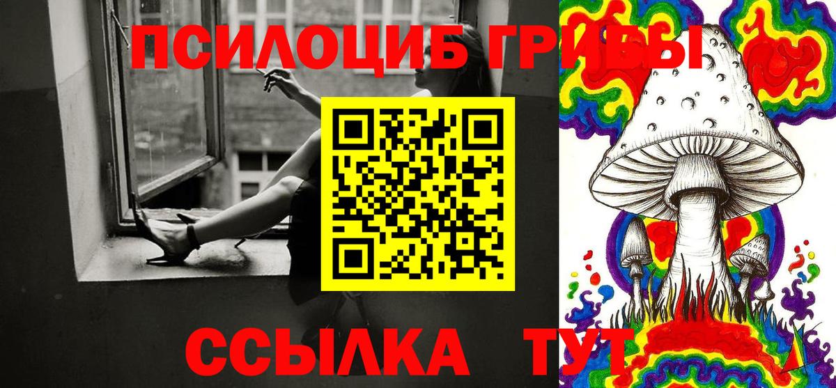 Галлюциногенные грибы Psilocybe Долгопрудный