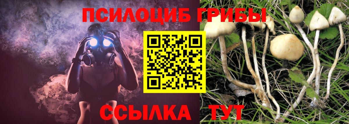 Галлюциногенные грибы мухоморы  Вход с VPN  Долгопрудный  Галлюциногенные грибы прущие грибы 